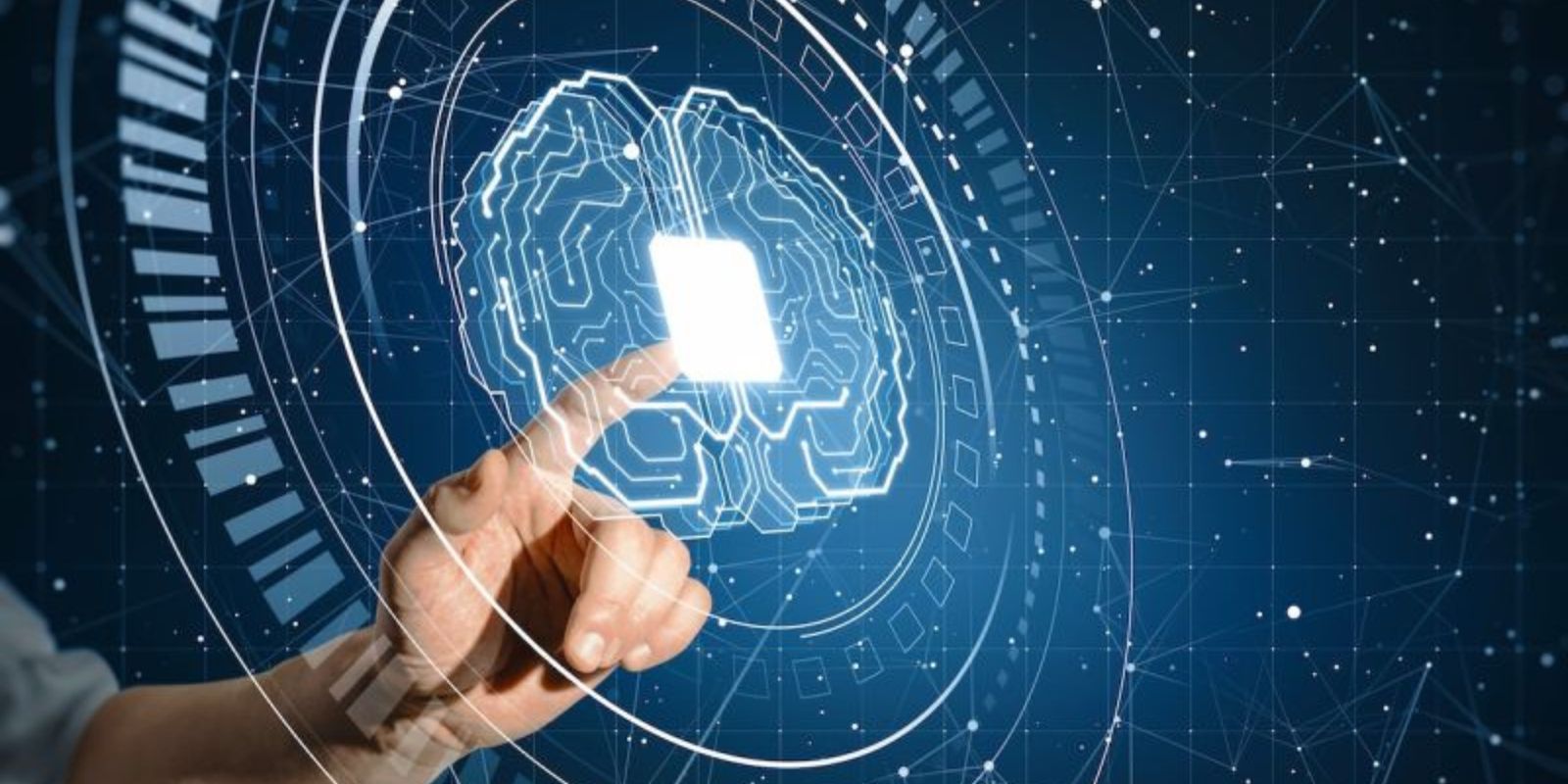 WhatsApp Image 2025 11 28 At 3.46.10 AM